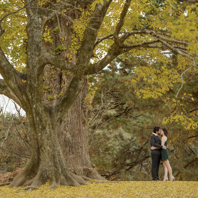Fall Engagement Photography in Kyoto