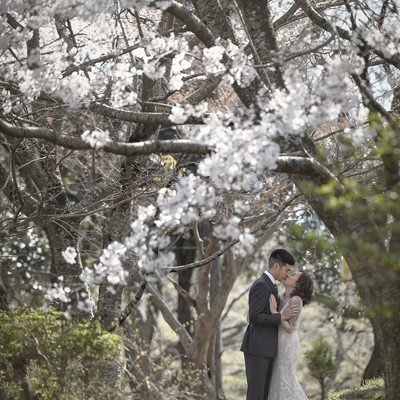 Adventure Elopements in the Cherry Blossoms