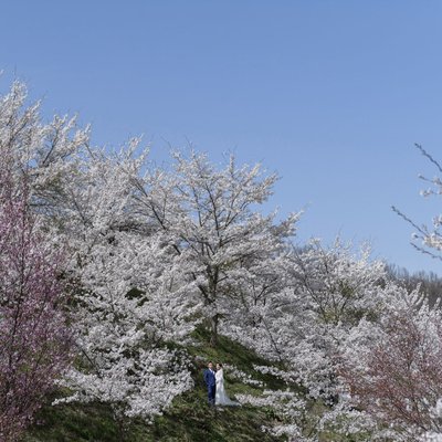 Get Married in Japan Under Cherry Blossoms
