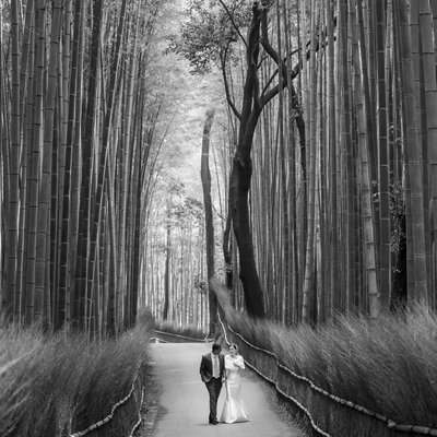 Planning an Elopement in Kyoto