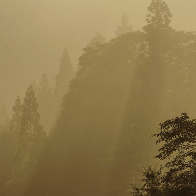 Sunbeams and Mist at Sunrise | Nakasendo Way