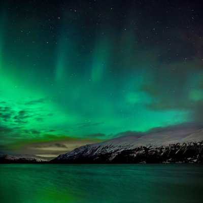 Northern lights in Tromsø  | Gateway to the Arctic