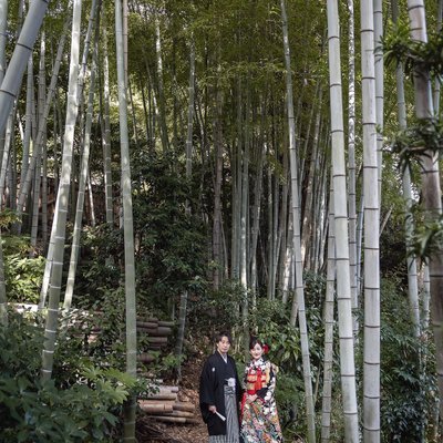 Get Married in Japan | Bamboo Forests & Kimono