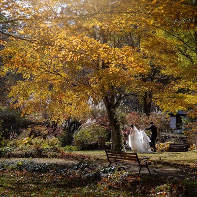 Spectacular Fall Elopement in Karuizawa, Japan