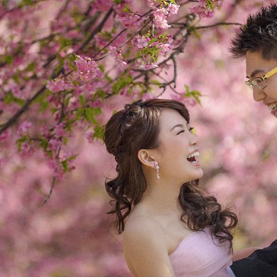 Elope in Japan | The Plum Blossoms