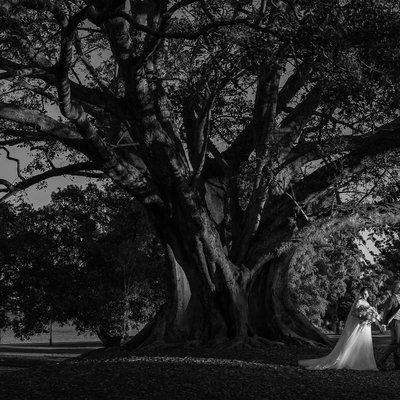 Wedding Photos in New Farm Park Brisbane