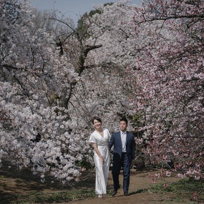 Cherry Blossom Elopements in Japan