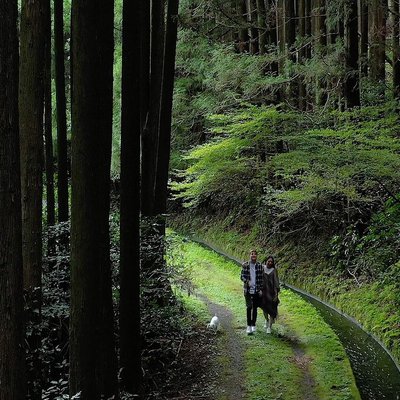 Elope in Japan | Mt Fuji National Parks