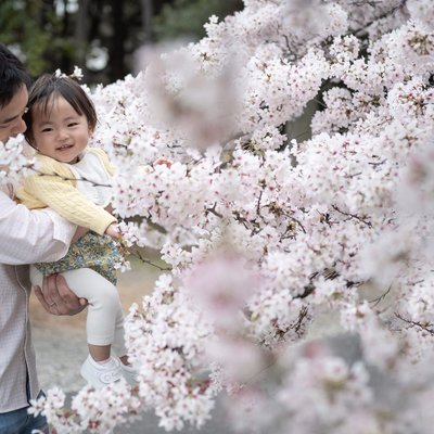 Father-Daughter Portraits in Tokyo's Spring