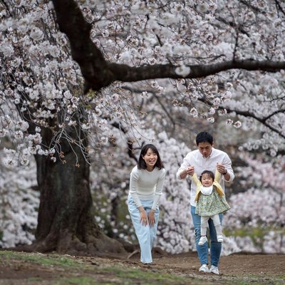 Bliss: Family Portraits in Shinjuku's Blooming Season