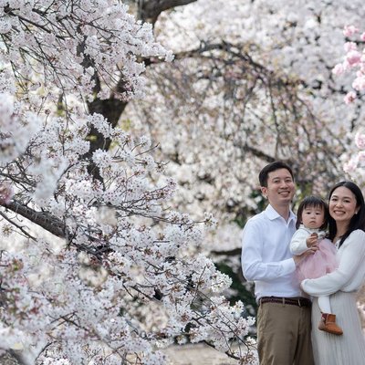 Family Portraits in Tokyo's best Cherry Blossoms