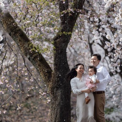 Spring Love: Tokyo Family Portraits in Cherry Blossoms