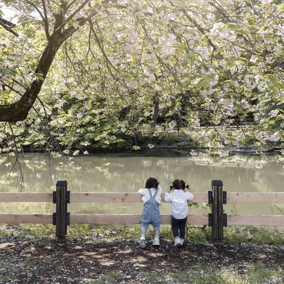Children's Portraits in Tokyo's Spring