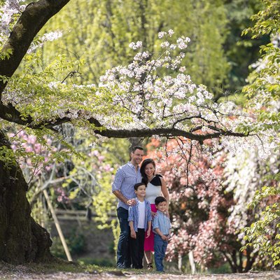 Sakura Symphony: Family Portraits in Tokyo's Blossoms