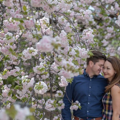 Family Portraits Amid Cherry Blossoms