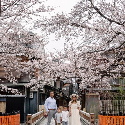 Kyoto's Canvas: Stunning Spring Settings for Portraits
