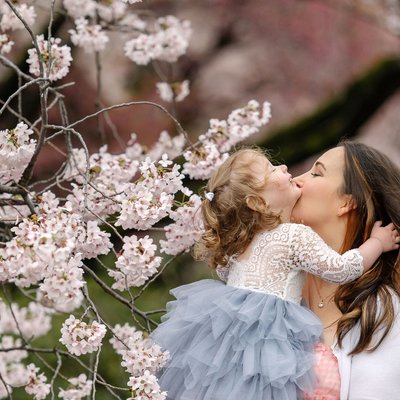 Cherry Blossoms: Mother-Daughter Portraits in Shinjuku