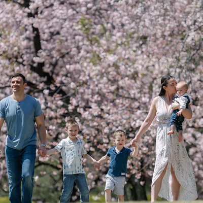 Sakura Serenade: Family Portraits in Tokyo's Spring