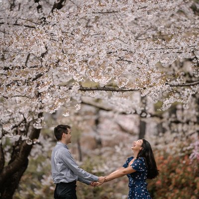 Elopement Dreams: Cherry Blossoms in Aomori