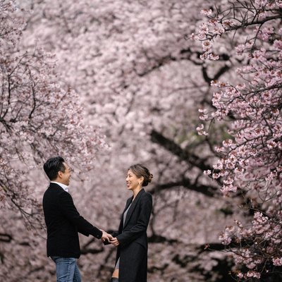 Nagano Cherry Blossom Engagement Photography