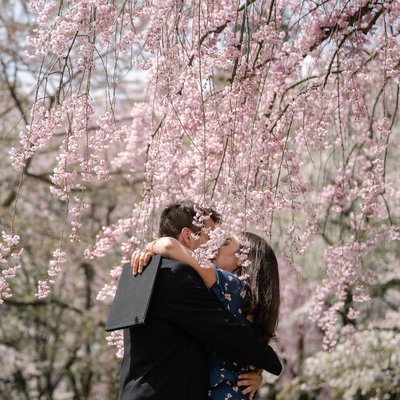 Aomori Cherry Blossom Proposal Photography