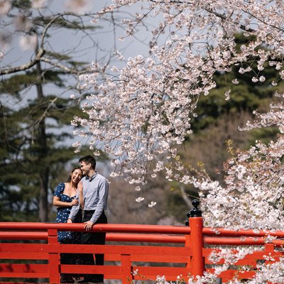 Aomori Cherry Blossom Engagement Photography and Videography