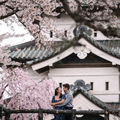 Aomori Cherry Blossom Engagement Photography