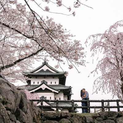 Capturing Your Aomori Cherry Blossom Proposal