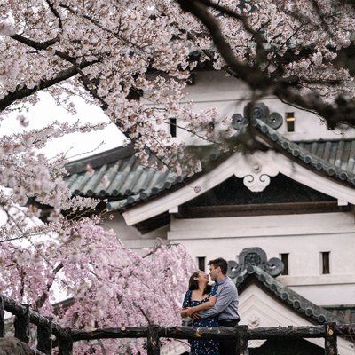 Cherry Blossom Engagement Sessions in Aomori