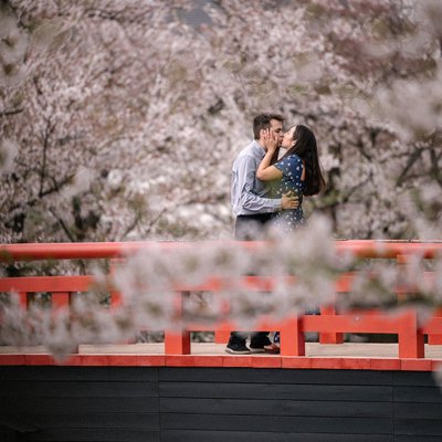 Kyoto Cherry Blossom Wedding Photography