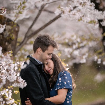 Engagement Photography in Aomori’s Cherry Blossom Haven