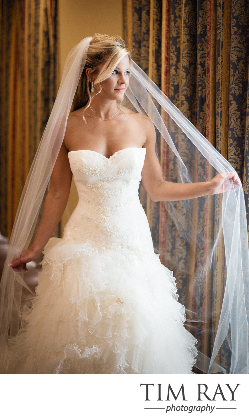 Beautiful bridal portrait at Waterfront Place Hotel in Morgantown, WV
