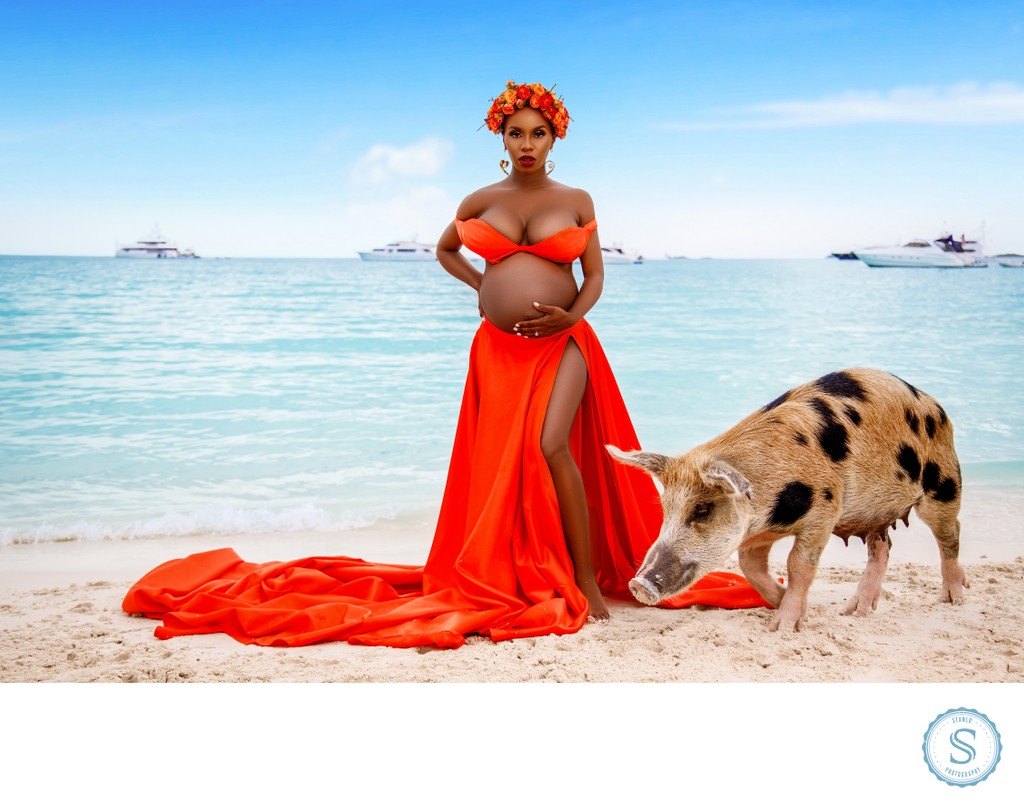 Bahamas Pigs Photographer