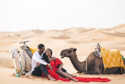 Morocco Camel Engagement 