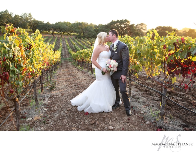 paradise ridge winery wedding photographer