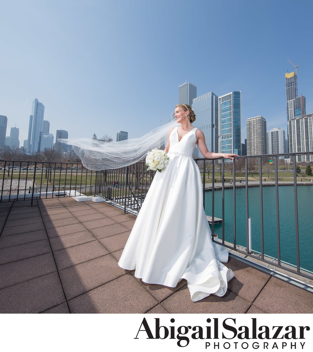 Bride's wedding veil flies: Chicago downtown skyline