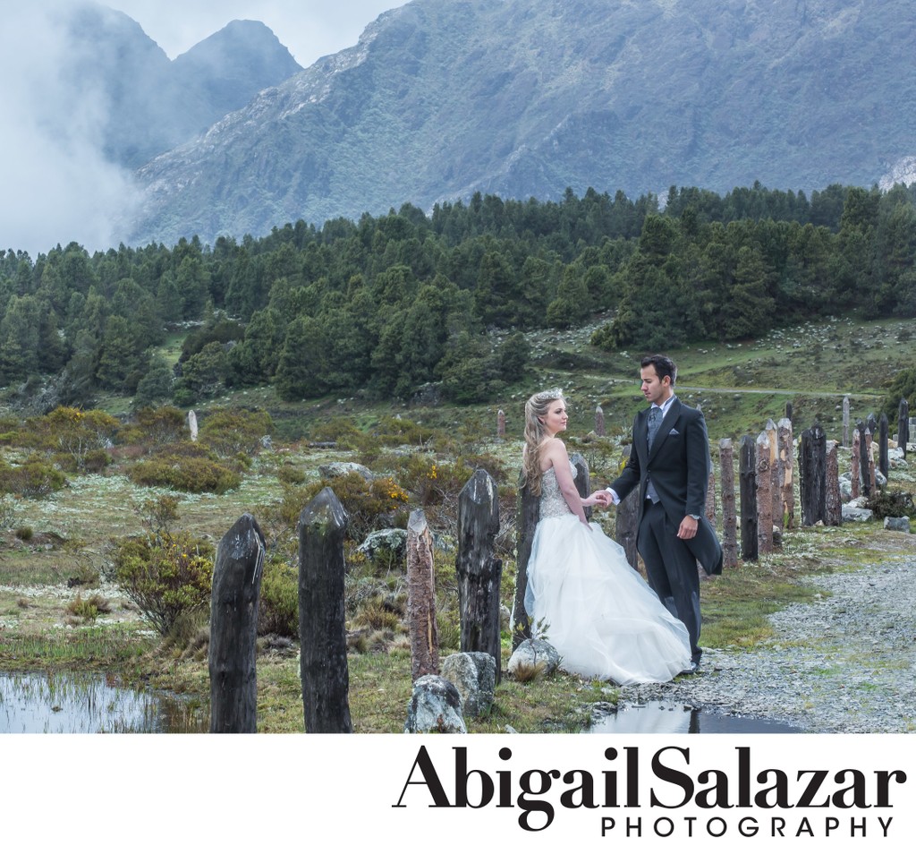 Bride and Groom portrait: Mountains Background