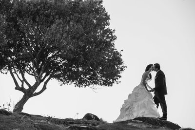 Gorgeous wedding portrait on top of the mountain