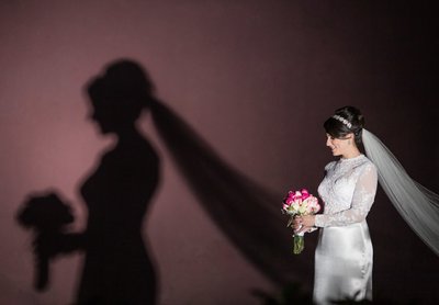 Amazing bridal portraits: Bride silhouette