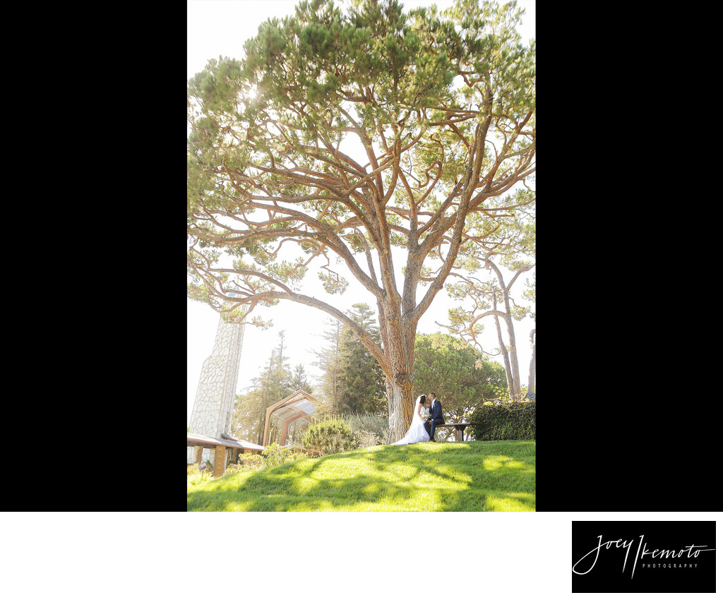 Wayfarers Chapel Palos Verdes Wedding
