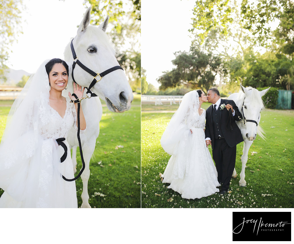 Calamigos at the LA Equestrian Burbank