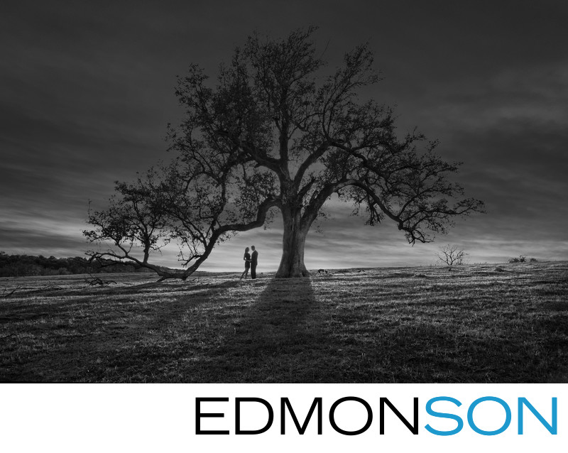 Sunset Engagement Portrait Couple Live Oak Tree