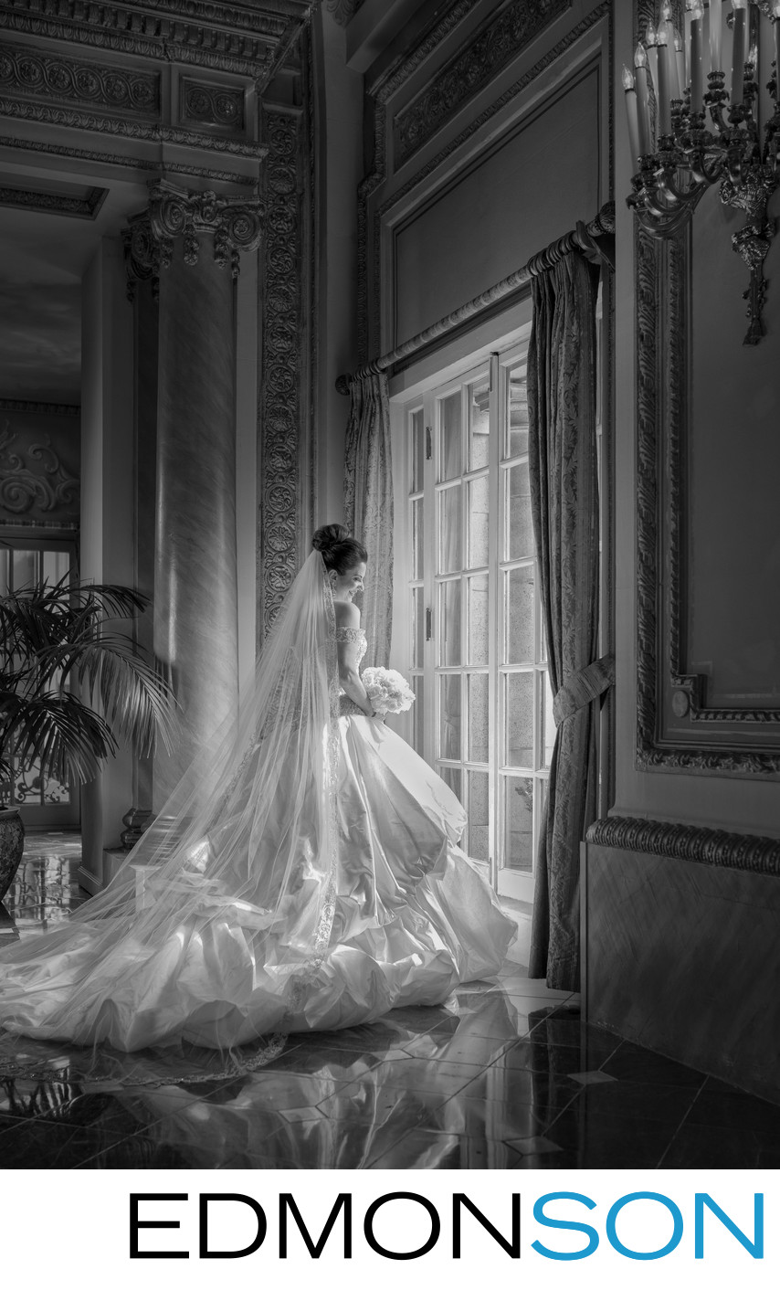Gorgeous Dallas Bridal Portrait At Adolphus French Room