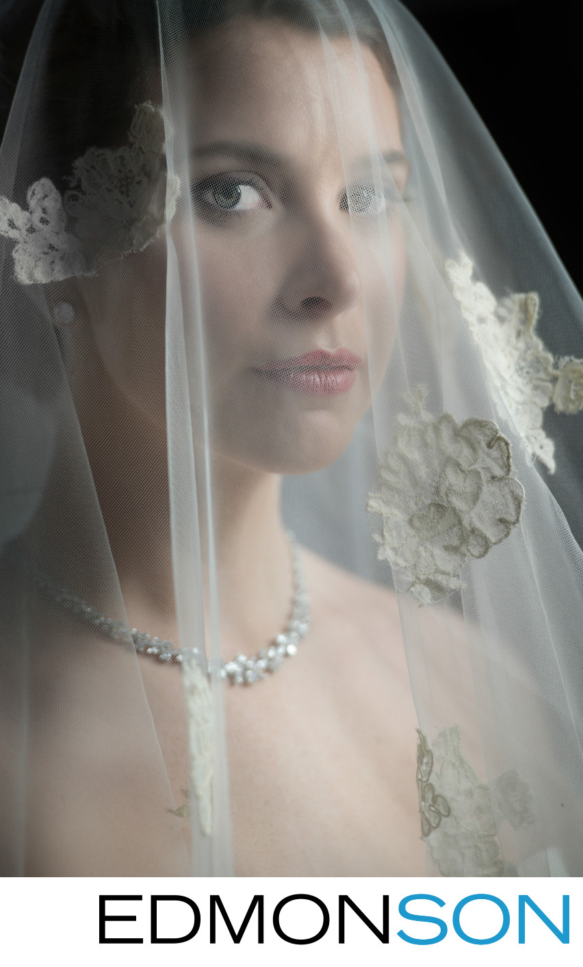 Gorgeous Bridal Portrait With Veil For Classic Beauty
