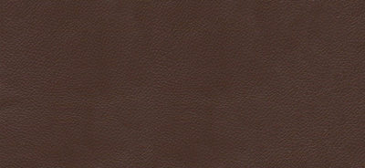 Brown Classic Leather Wedding Album Cover Swatch Detail