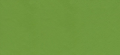 Apple Green Classic Leather Wedding Album Cover Swatch