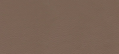 Cappuccino Classic Leather Wedding Album Cover Swatch