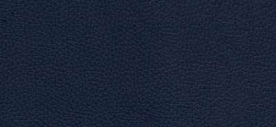 Royal Blue Classic Leather Wedding Album Cover Swatch