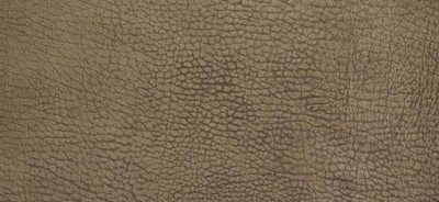 Sandstone Contemporary Leather Cover Swatch Detail