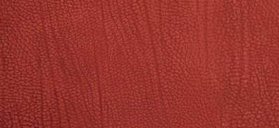 Tamarillo Contemporary Leather Cover Swatch Detail